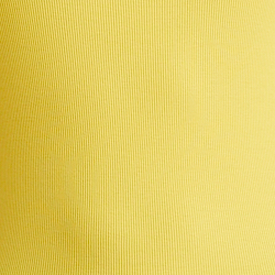 Yellow Lily