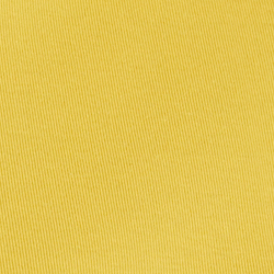 Yellow Lily