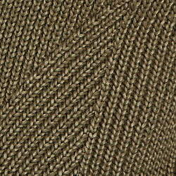 Olive Fern