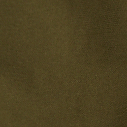 Dark Tropical Olive