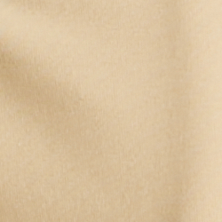 Pale Parchment