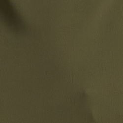 Dark Tropical Olive