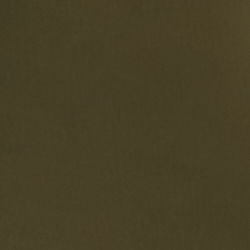 Dark Tropical Olive