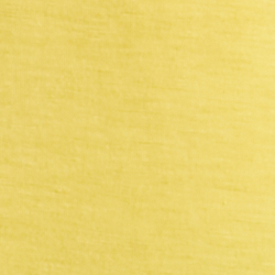 Yellow Lily