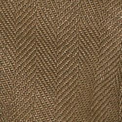 Olive Fern