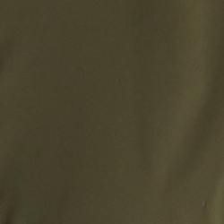 Dark Tropical Olive