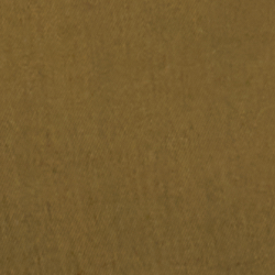 Olive Fern