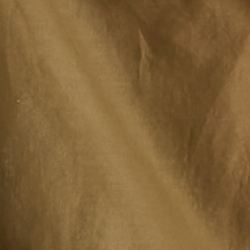 Olive Fern