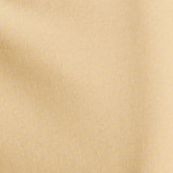 Pale Parchment