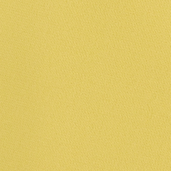 Yellow Lily