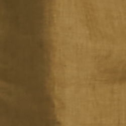 Olive Fern
