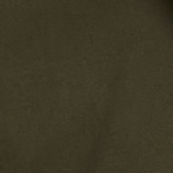 Dark Tropical Olive