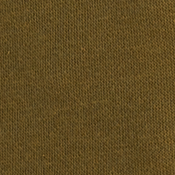 Olive Fern