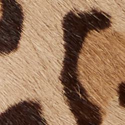 Safari Leopard/Lauren Tan