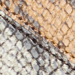 Multi Print