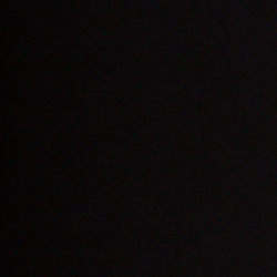 Polo Black