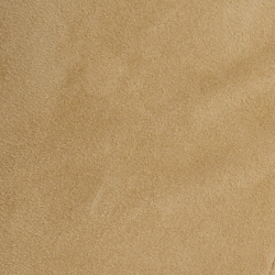 Birch Tan