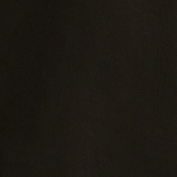 Polo Black