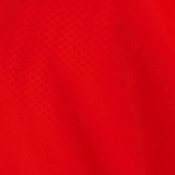 Vivid Tangerine