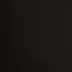 Polo Black