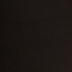 Polo Black