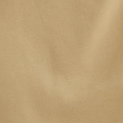 Birch Tan
