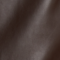 Dark Beech