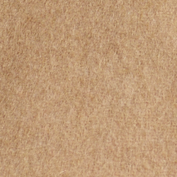 Camel Multi