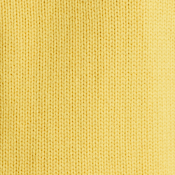 Slicker Yellow