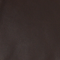 Circuit Brown