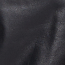 Polo Black
