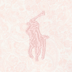 Pink Paisley Multi