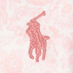 Pink Paisley Multi