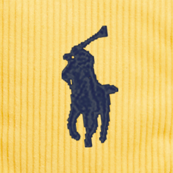 Fall Yellow