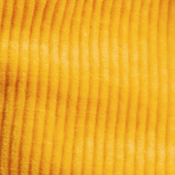 Gold Bugle