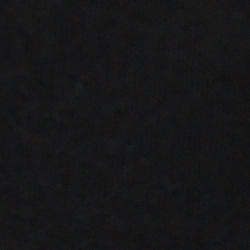 Polo Black