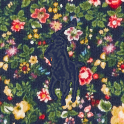Addison Floral