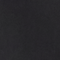 Polo Black