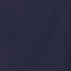 Cruise Navy