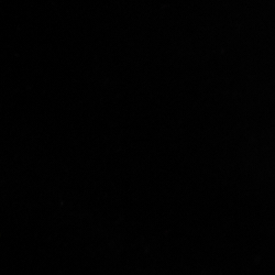 Polo Black