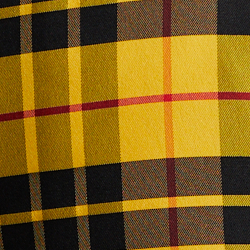 Yellow Plaid