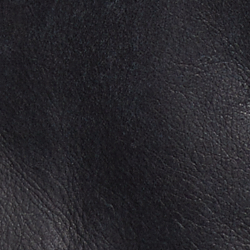 Polo Black/ Cream