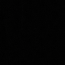 Polo Black