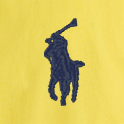 Coastal Yellow