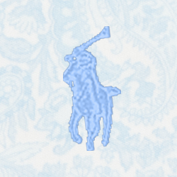 Blue Paisley Multi
