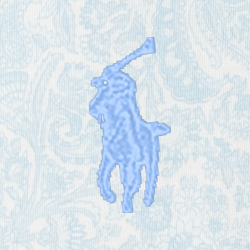 Blue Paisley Multi