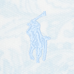 Blue Paisley Multi