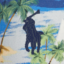 Ski-waiian