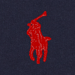 Cruise Navy