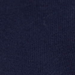 Refined Navy